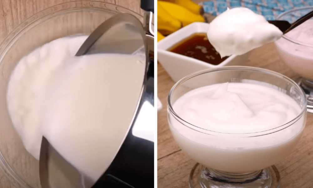 iogurte-grego-caseiro-delicioso-e-econômico-com-2-ingredientes